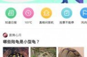 九一网页版免费在线电脑网页版
